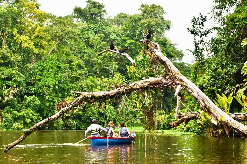 Tortuguero Costa Rica | foto Peter van de Wiel