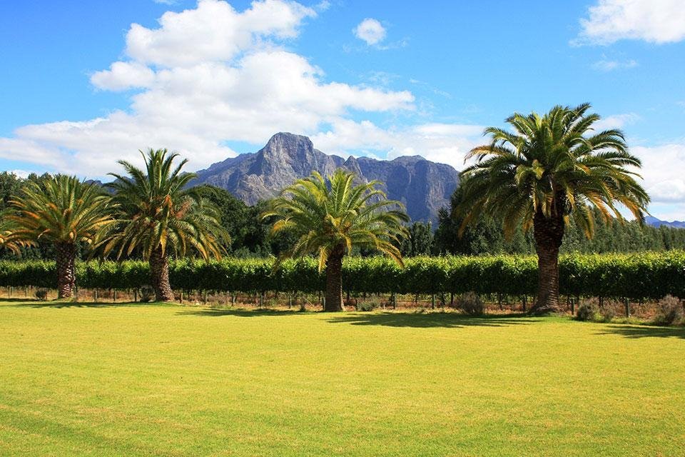 Franschhoek in Zuid-Afrika